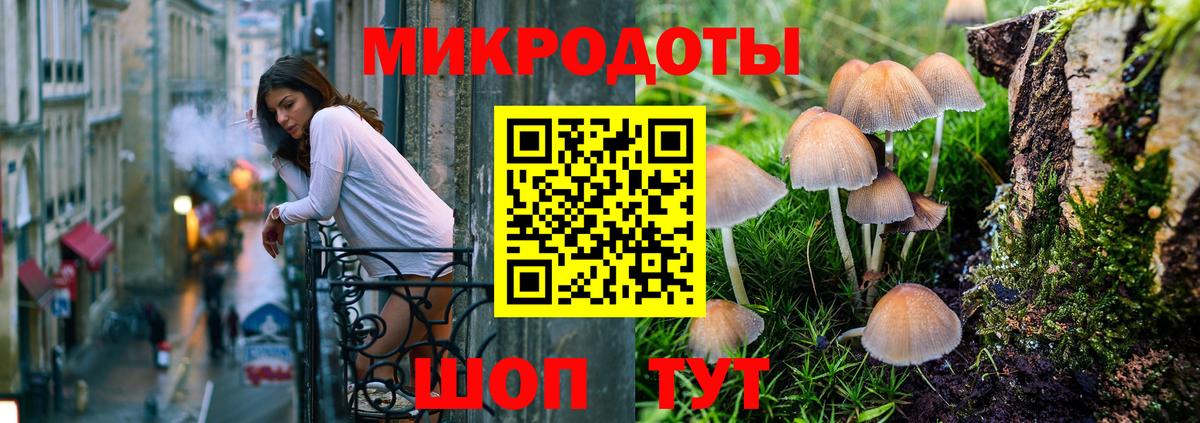 Псилоцибиновые грибы GOLDEN TEACHER Сосновоборск