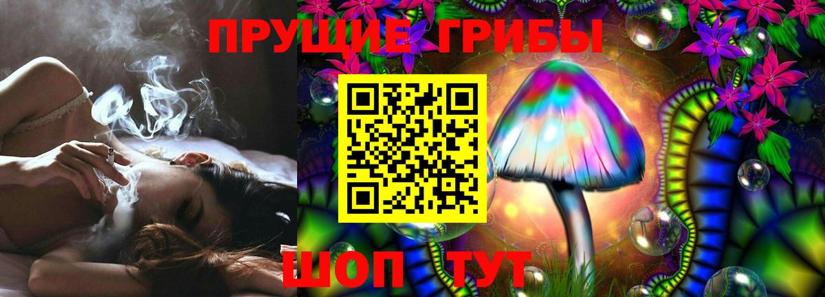 Сосновоборск  Псилоцибиновые грибы GOLDEN TEACHER  Псилоцибиновые грибы Magic Shrooms  Вход с VPN 